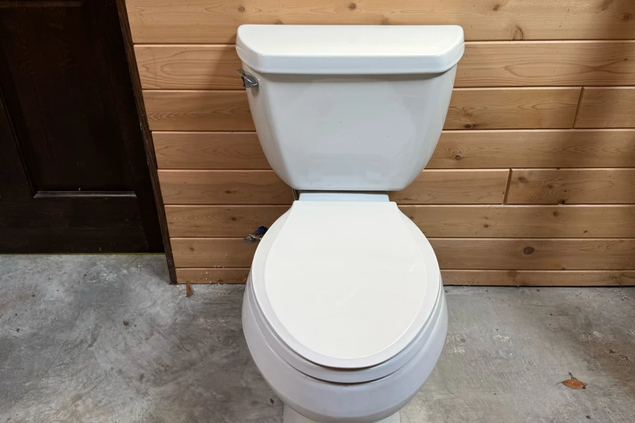 Toilet Repair & Replacement Service